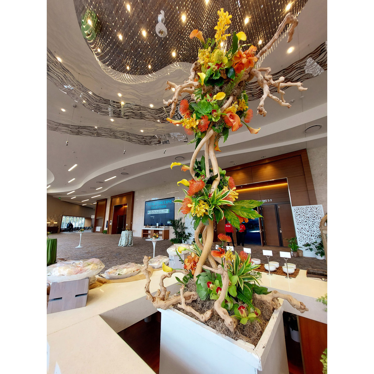 Twisted Grape Root Stand - Image 2