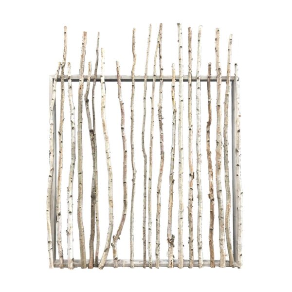 Birch Wall