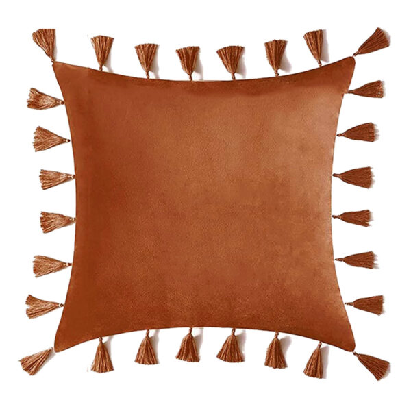 Burnt Orange Velvet Tassel Pillow