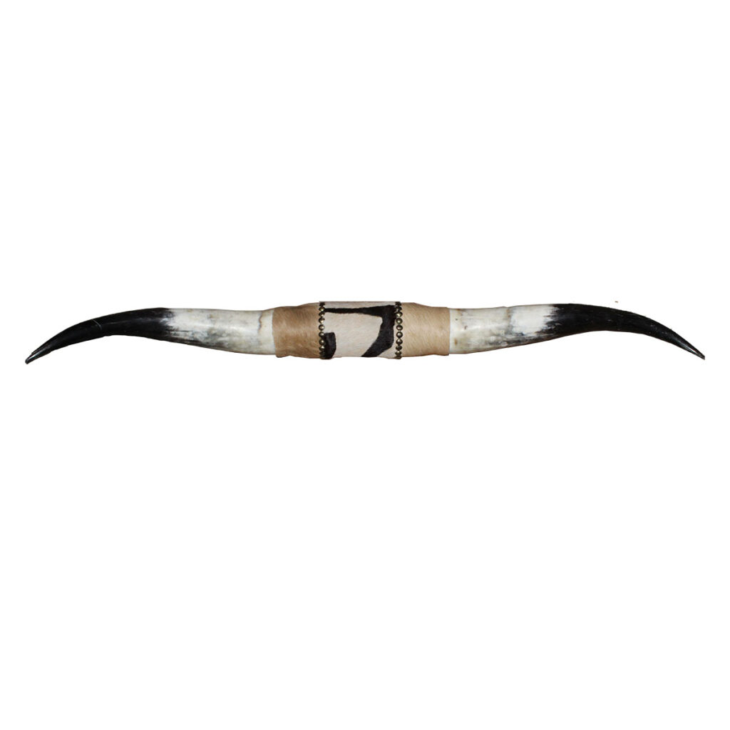 Cattle Horns