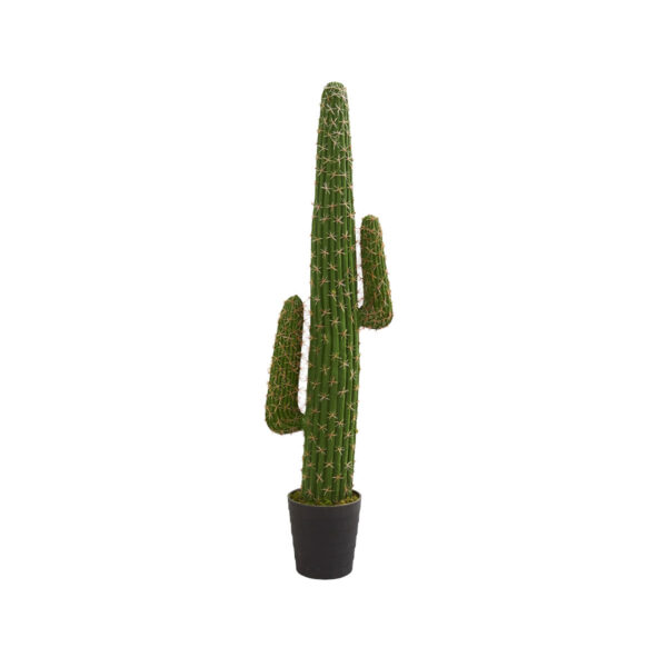 Cactus Plant, Artificial