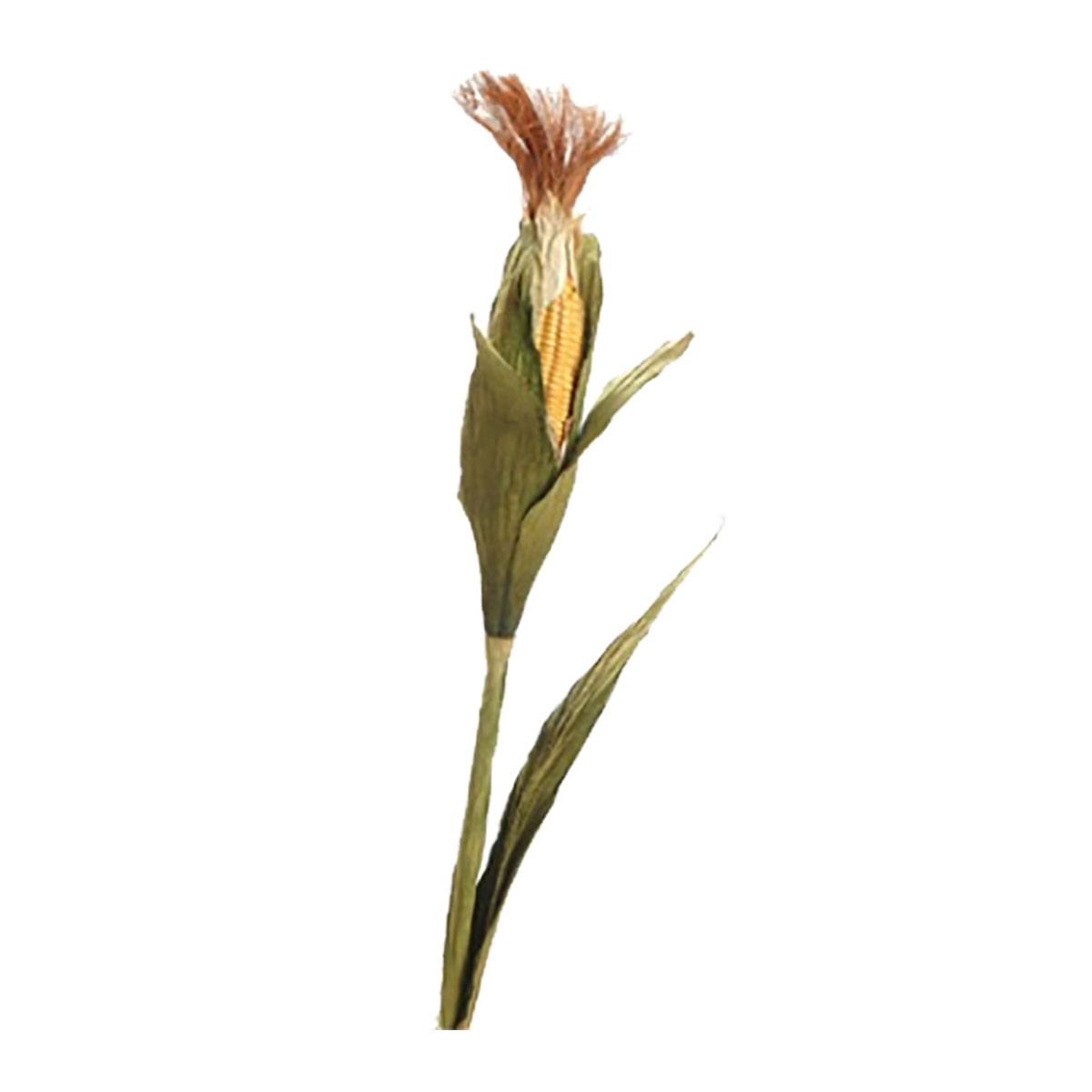Corn Stalk