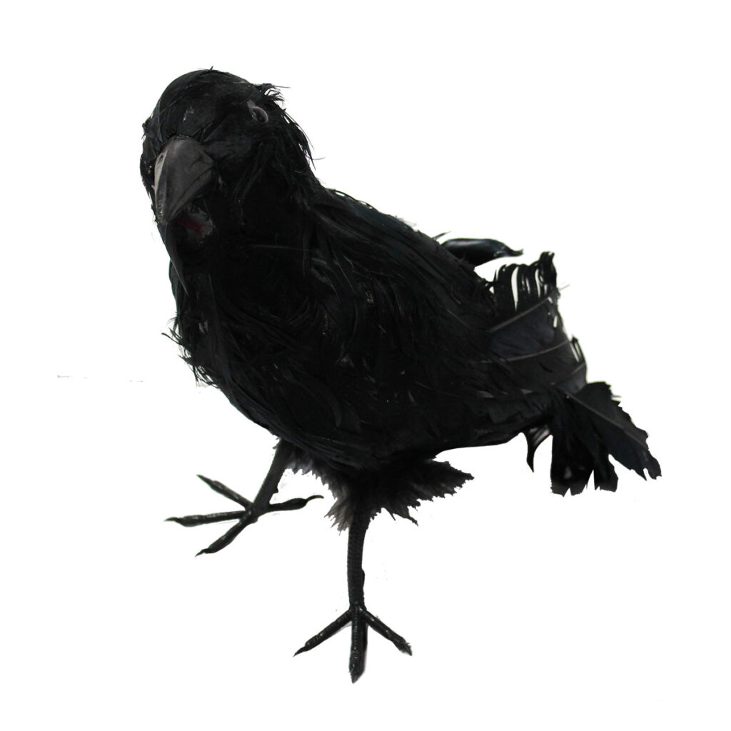 Crow
