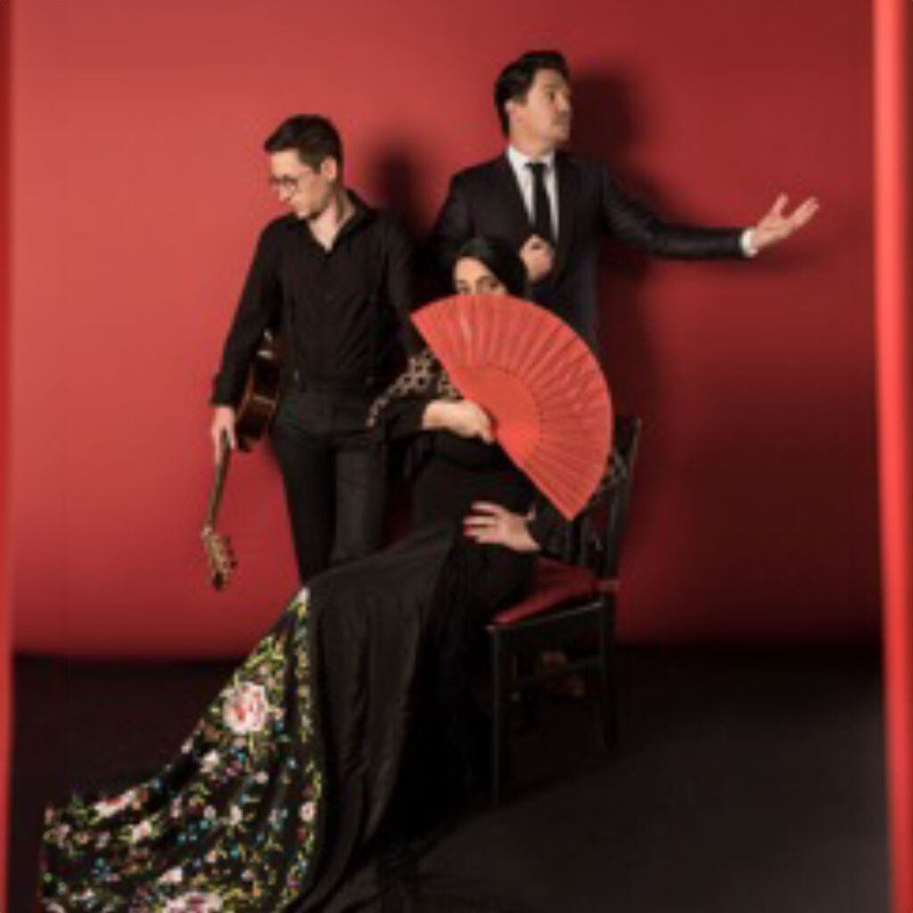 Flamenco Show