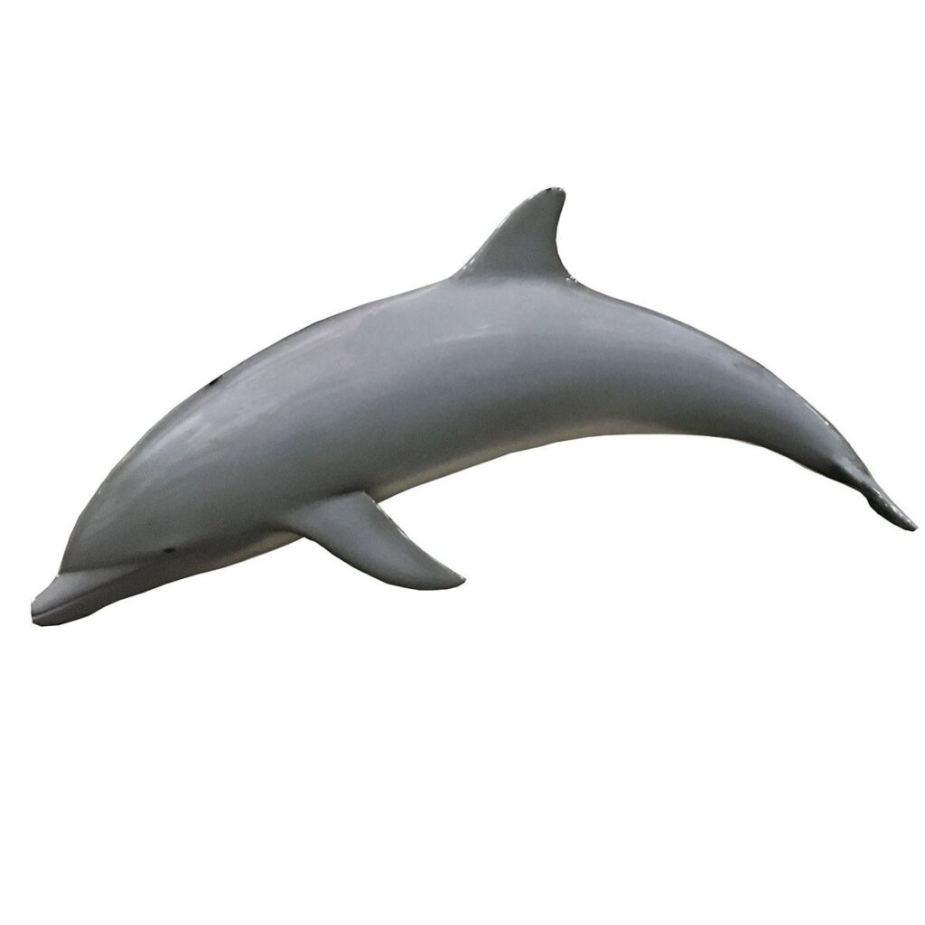 Dolphin