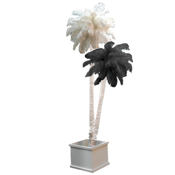 Yucca Feather Palm (Double Trunk)