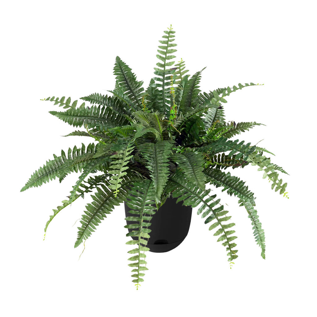 Fern Plant, Artificial