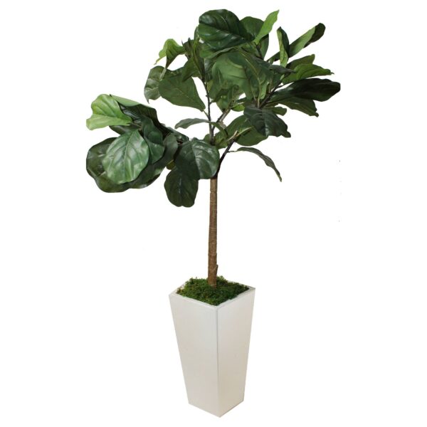 Fiddle Leaf Fig Tree in White Container, Artificial