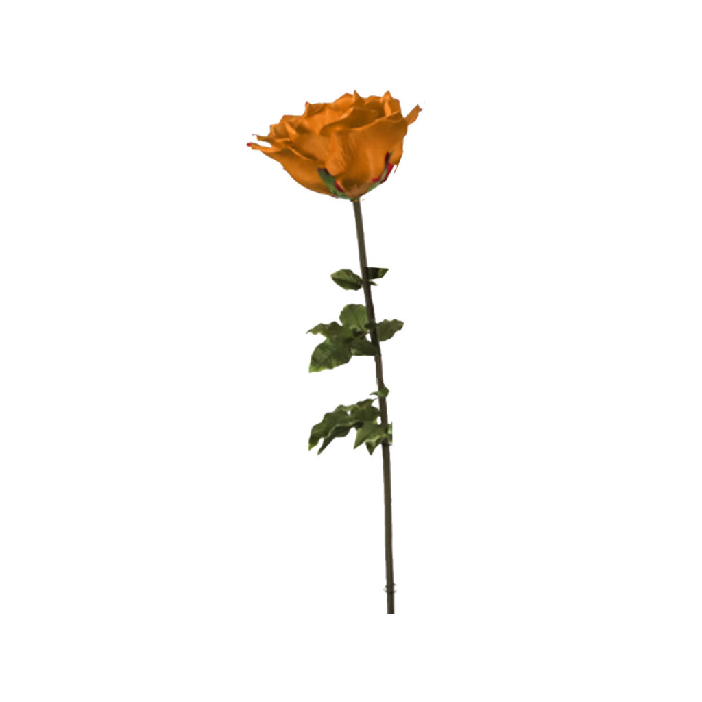 Giant Copper Rose