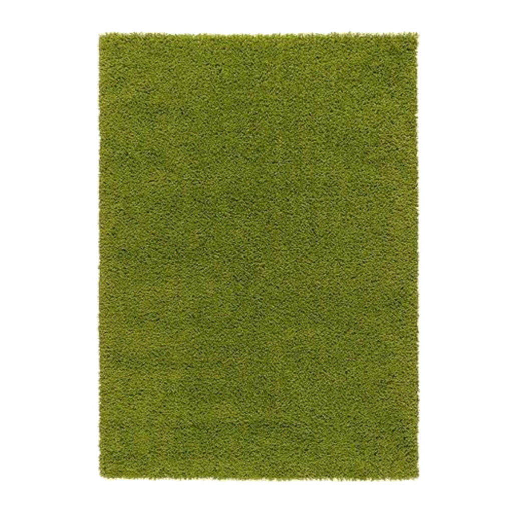 Green Shag Rug