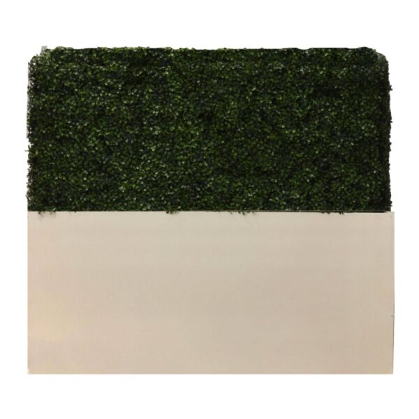 Hedge Wall with White Base, Short