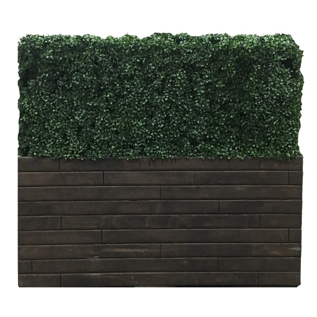 Hedge Wall, Short