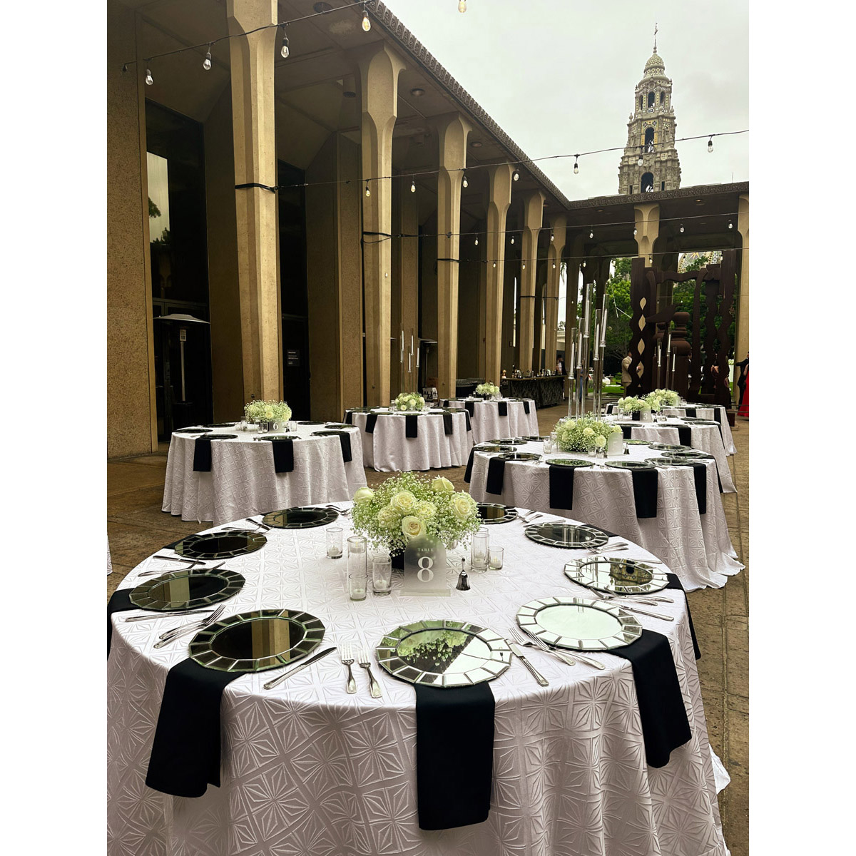 Black Shantung Napkin - Image 4