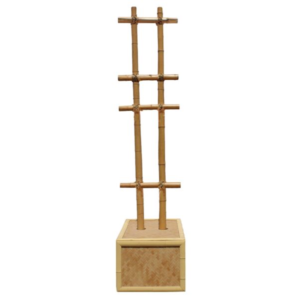 Bamboo La Haula Upright with Box