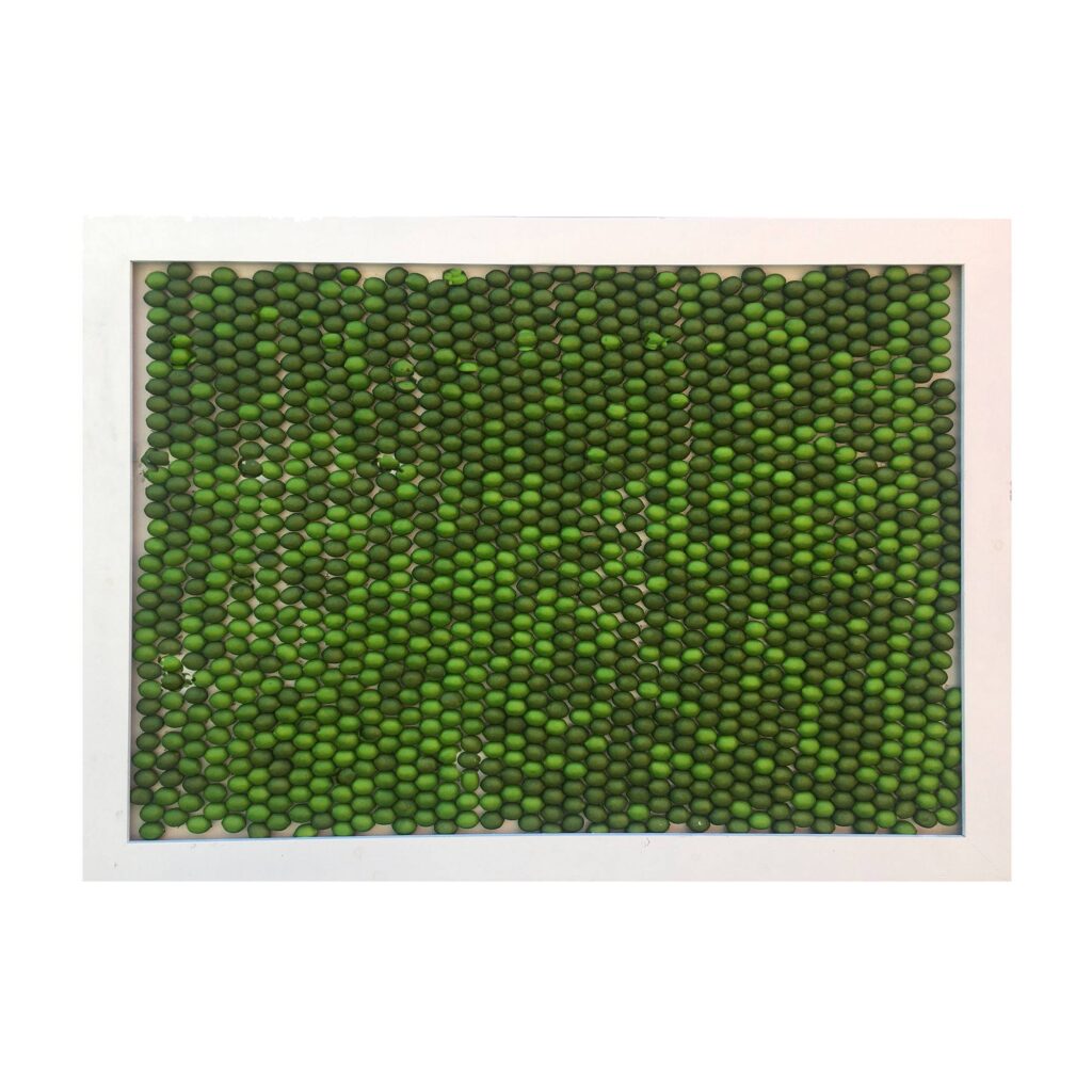 Lime Wall with Frame