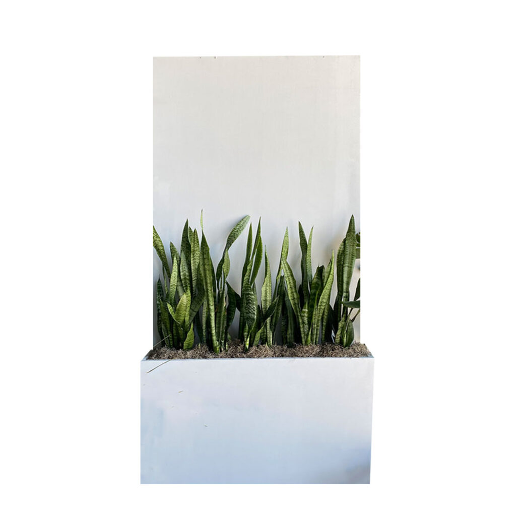 Planter Box Wall