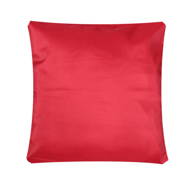 Red Poly Pillow