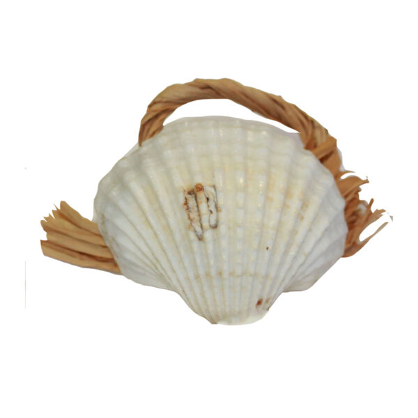 Raffia and Shell Napkin Ring