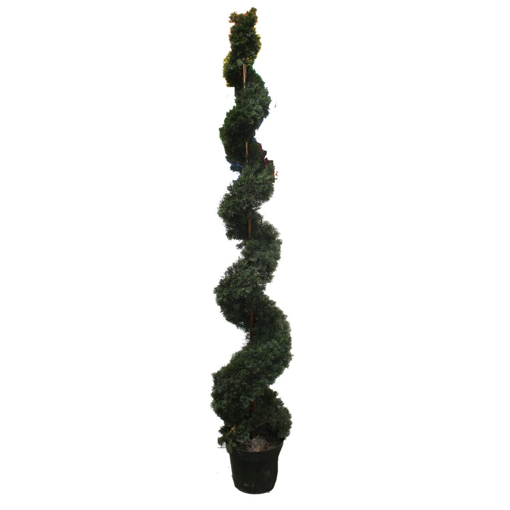 Spiral Topiary Tree (Artificial)