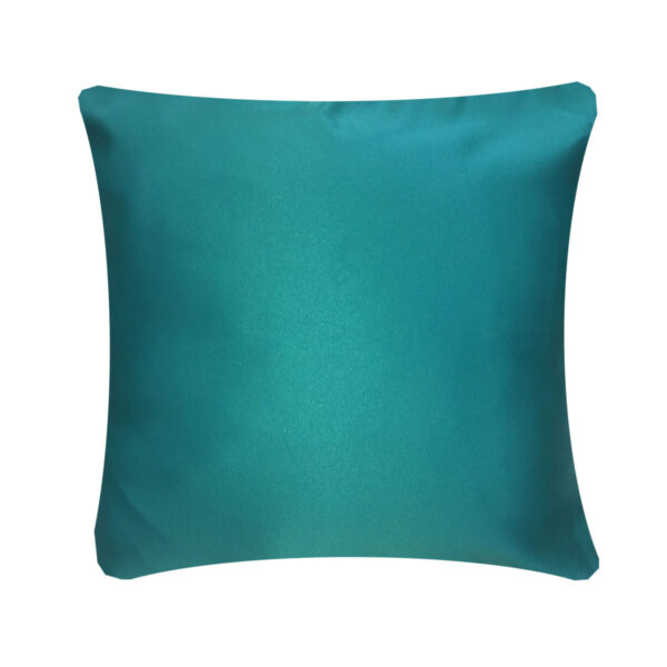 Turquoise Poly Pillow