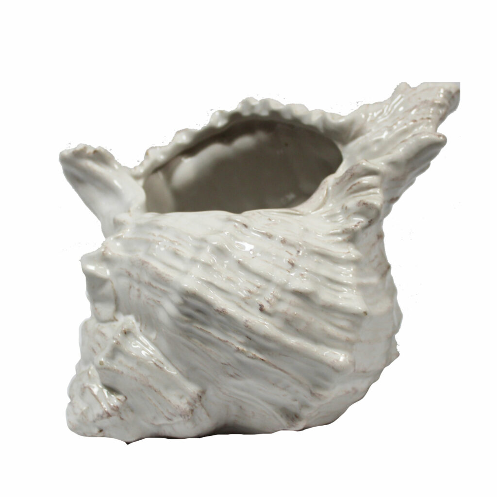 White Ceramic Conch Shell