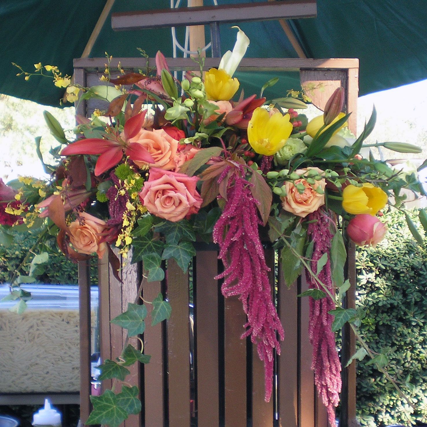 Wine Press - Image 3