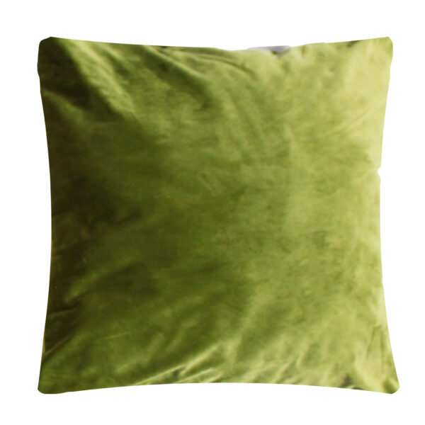 Avocado Velvet Pillow