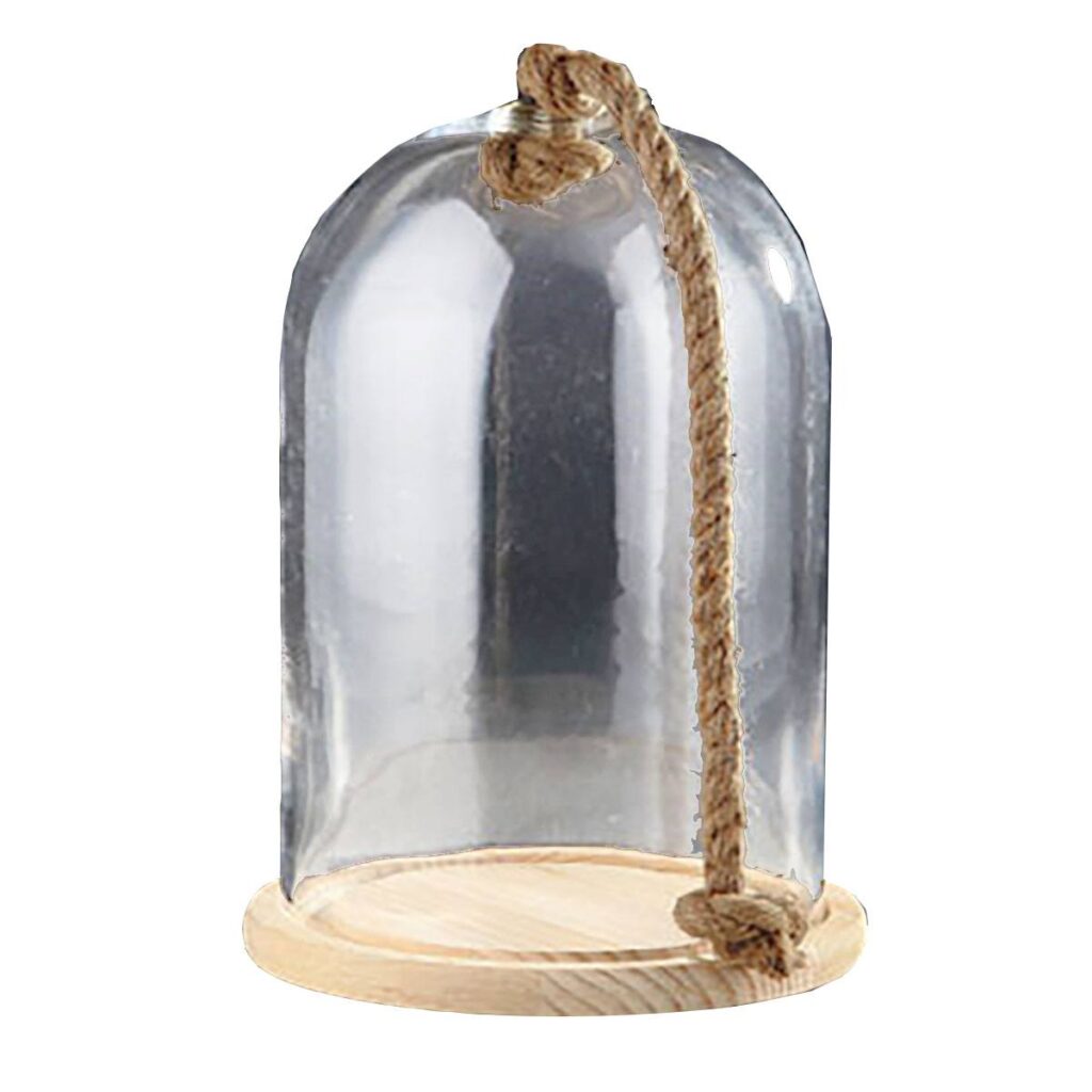 Bell Jar