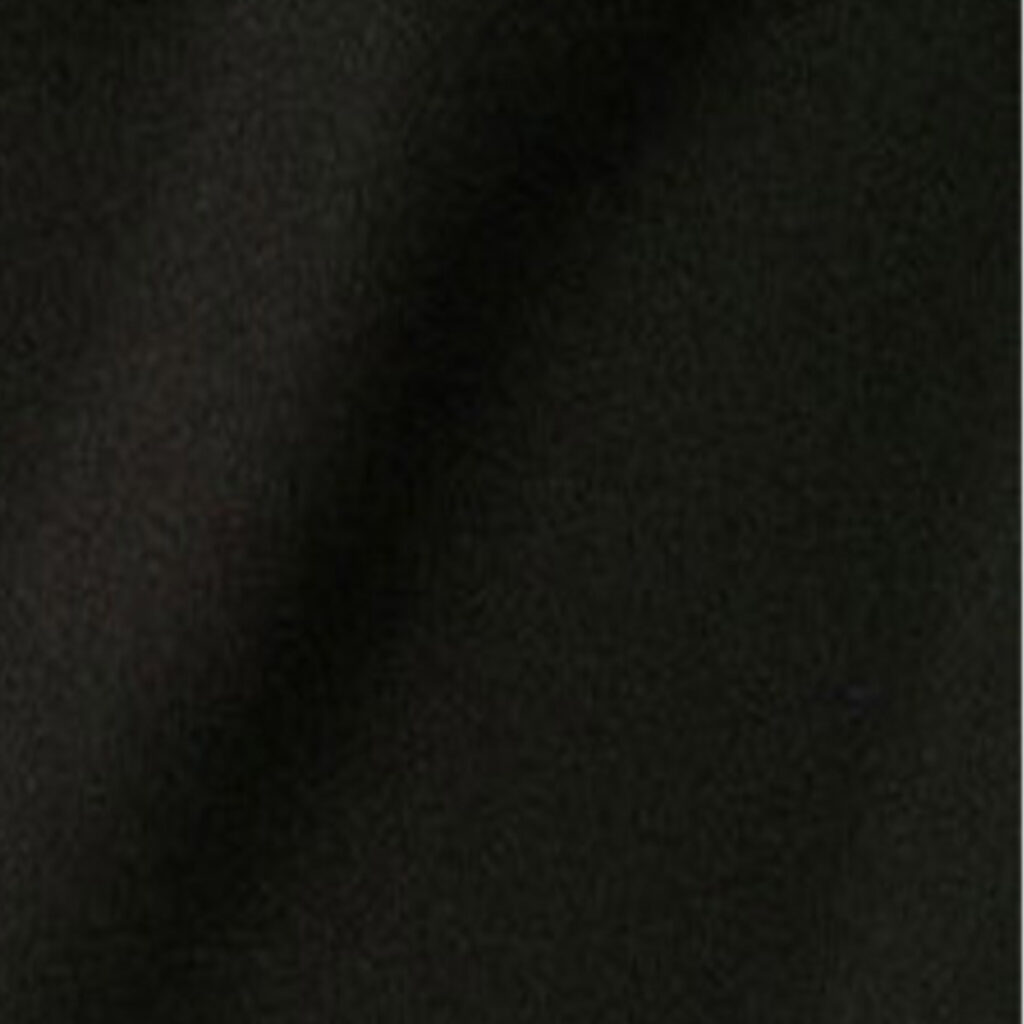 Stage Skirt, Black, Pleated