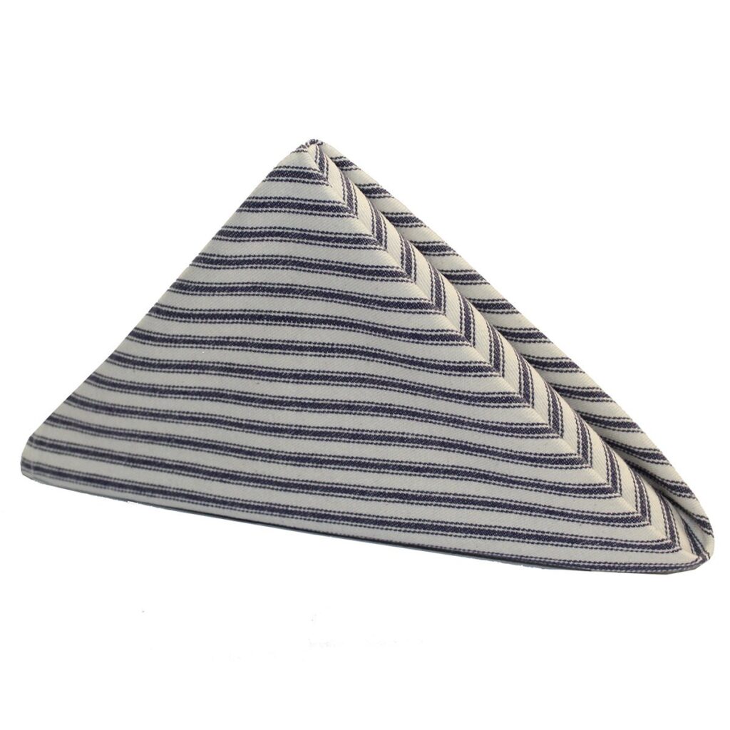 Blue Ticking Napkin