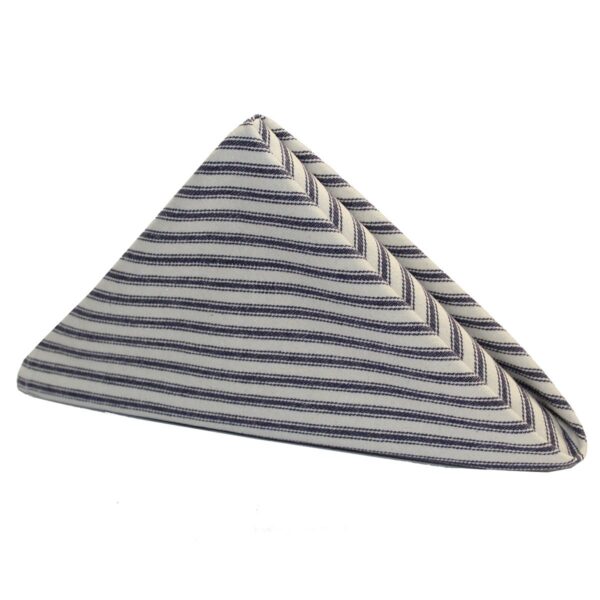 Blue Ticking Napkin