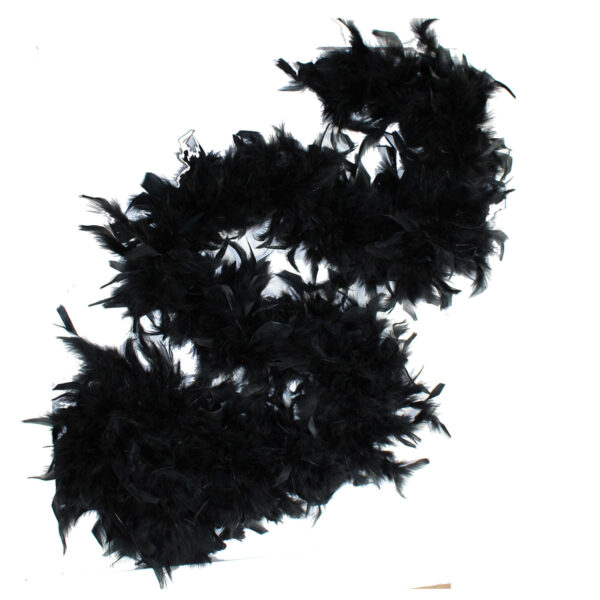 Black Feather Boa