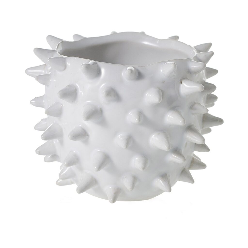 Urchin Pot