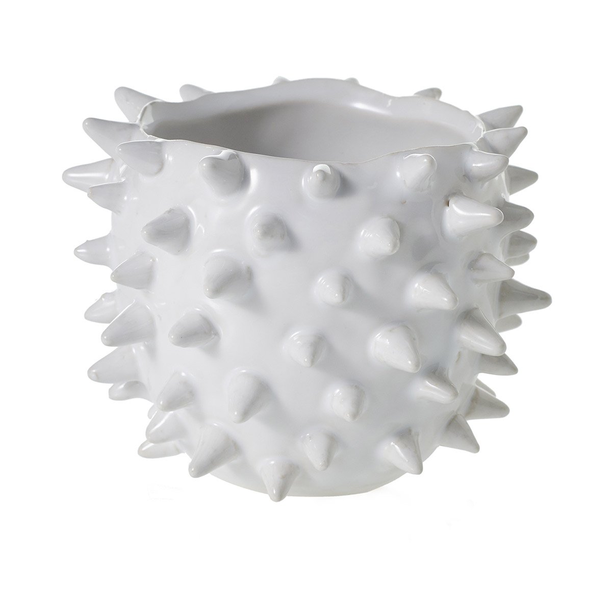Urchin Pot