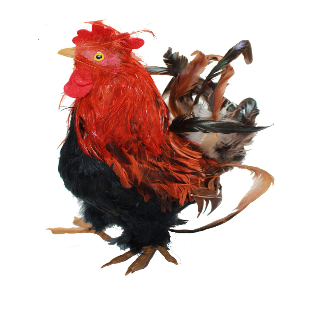 Chicken