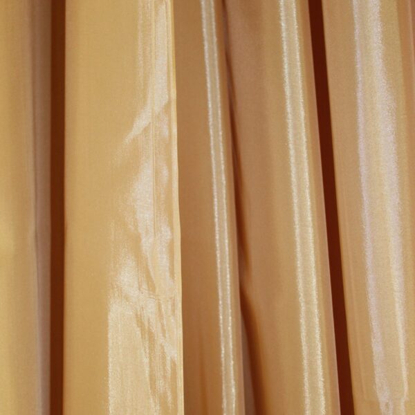 Circus Gold Brilliance Drape