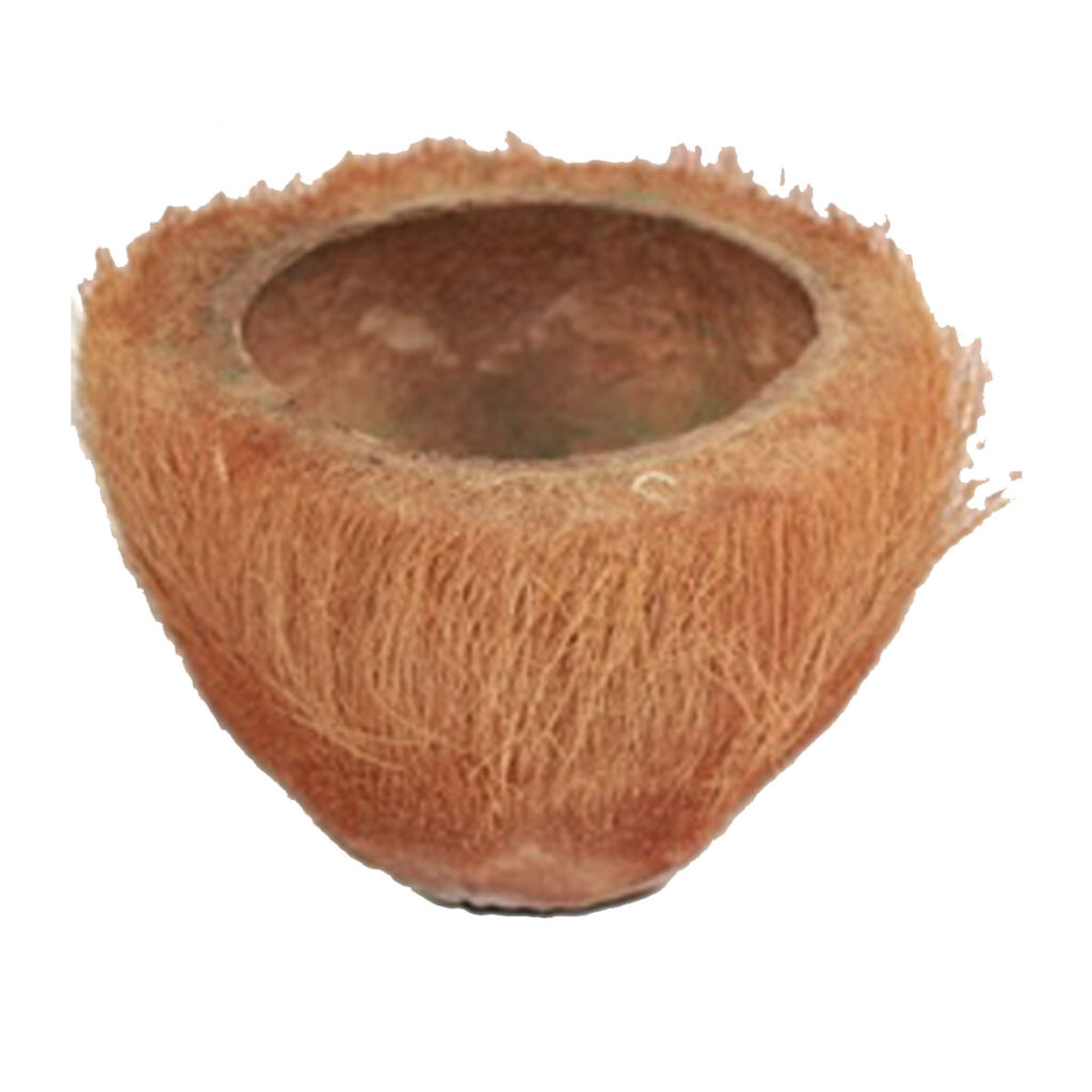 Coconut Votive Holder