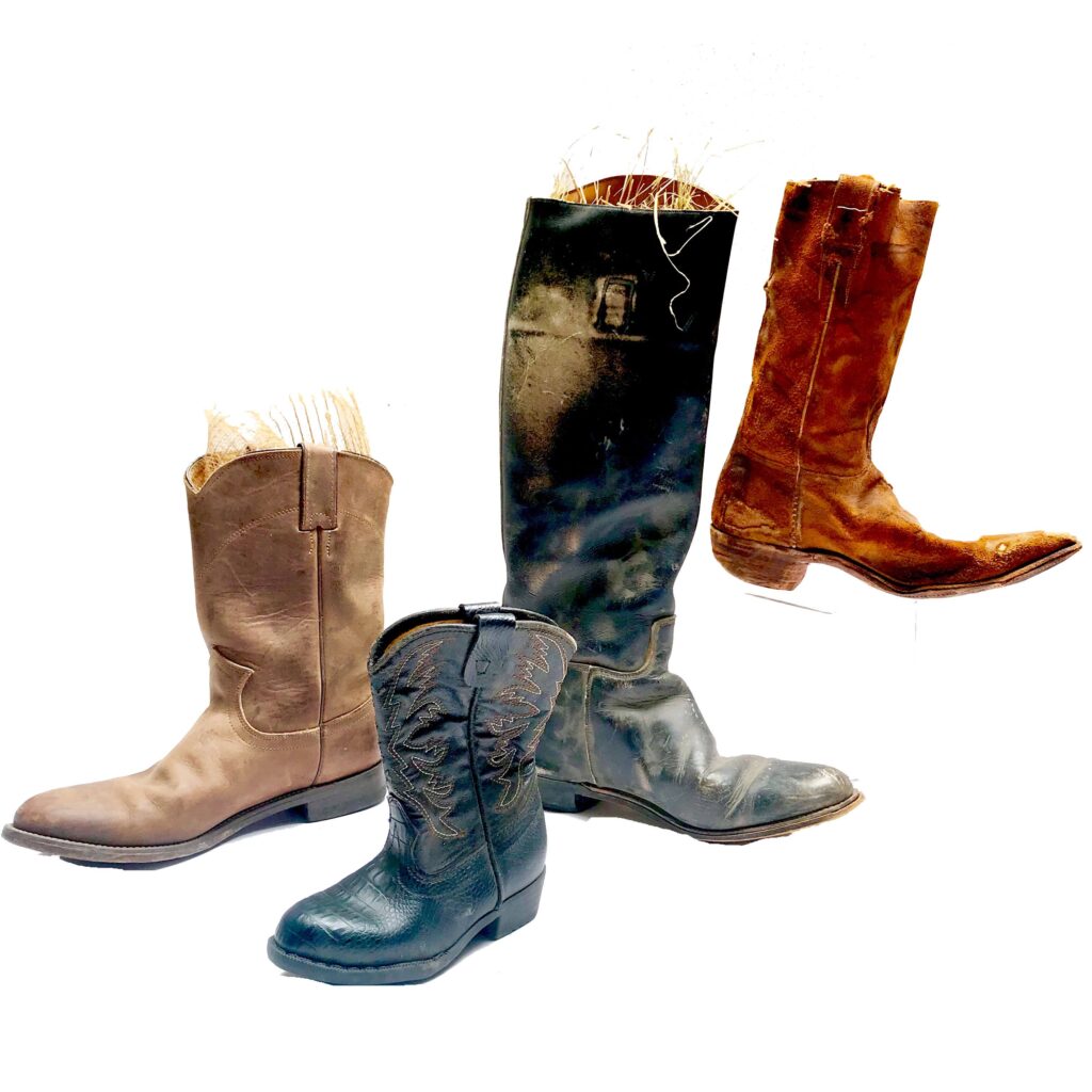 Cowboy Boot