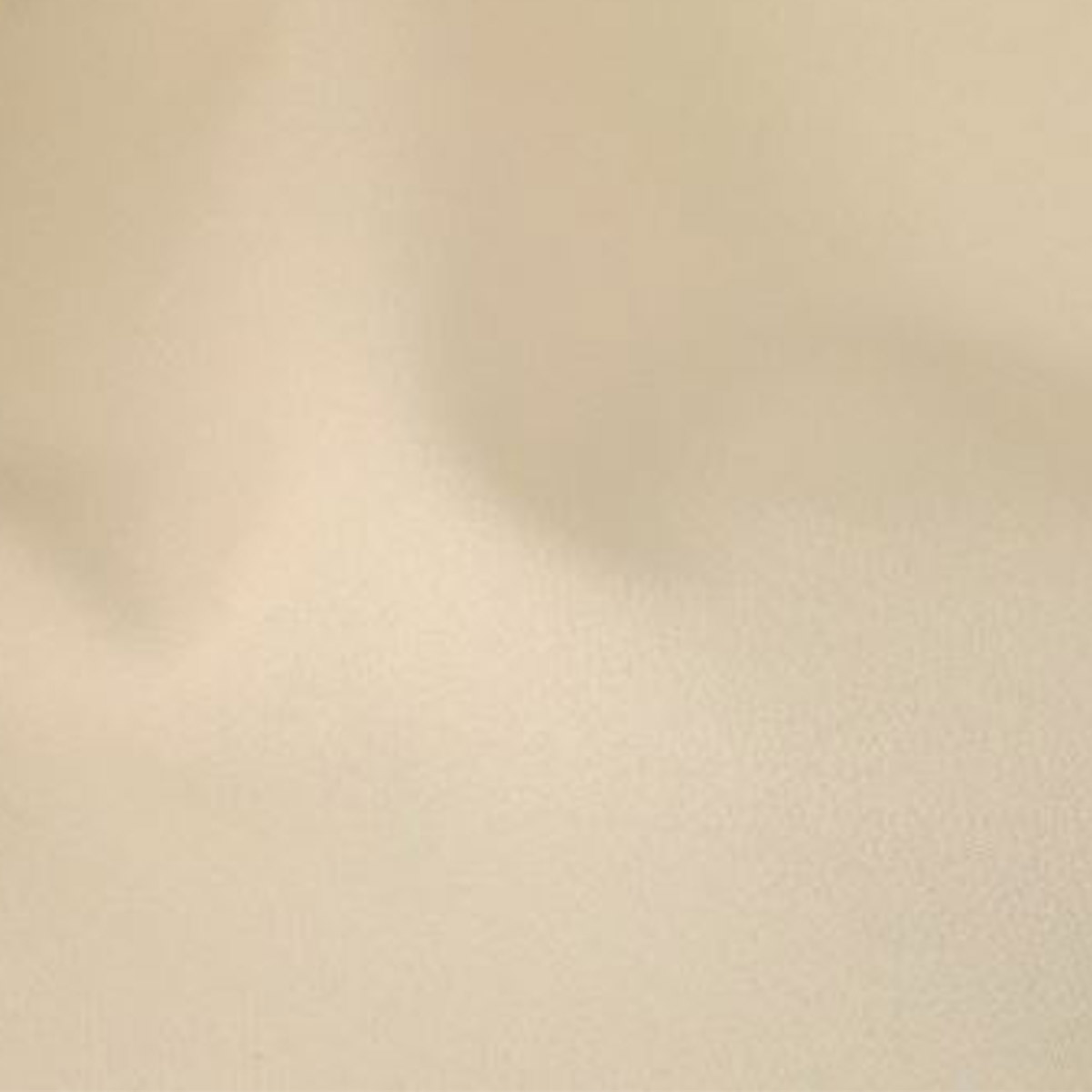 Ivory Poly Cushion Cover