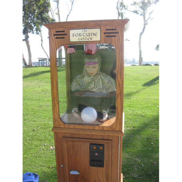 Living Fortune Teller Booth