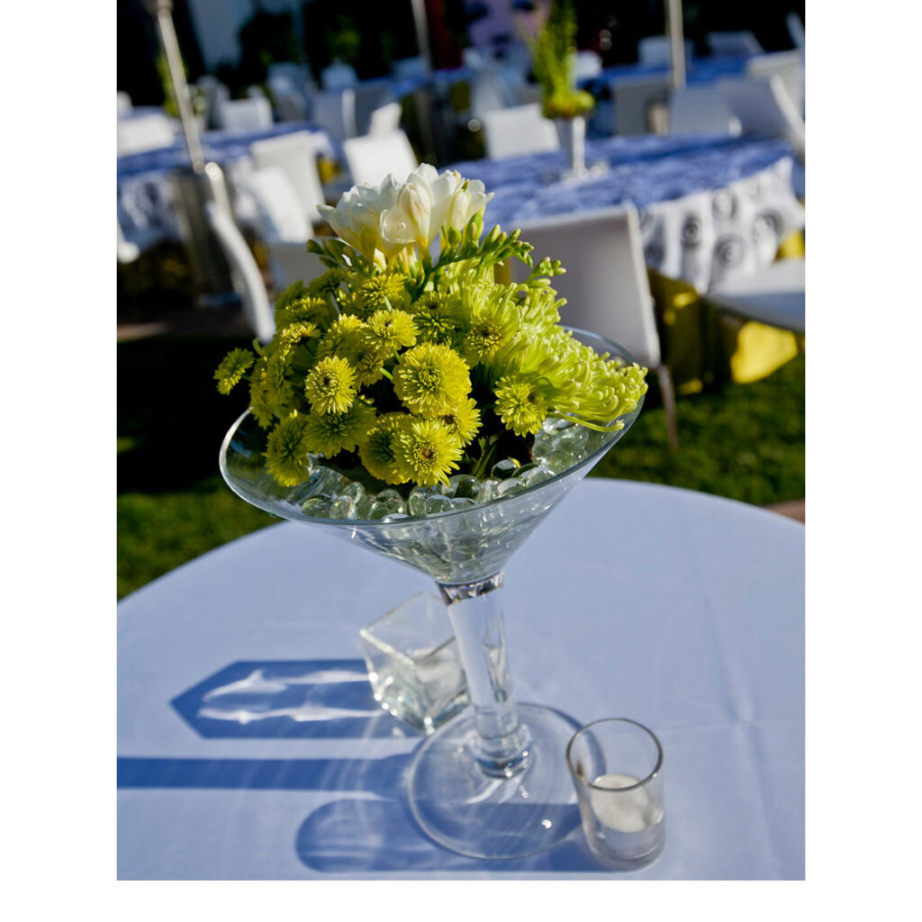 Martini Glass