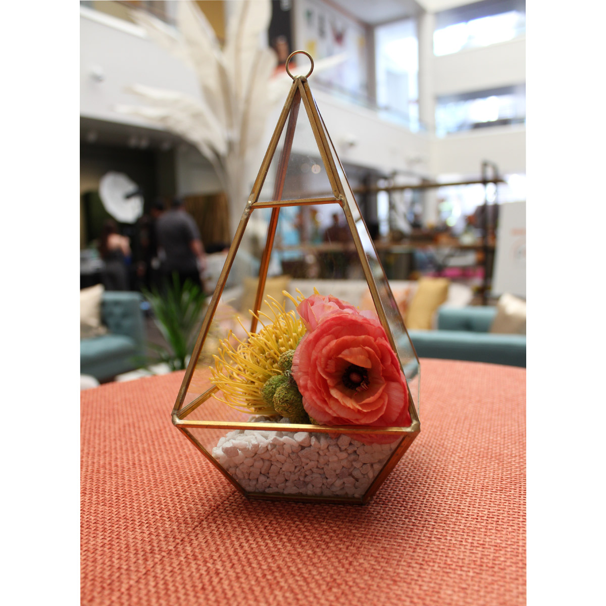 Triangle Terrarium - Image 4