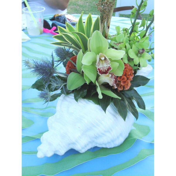 White Ceramic Conch Shell