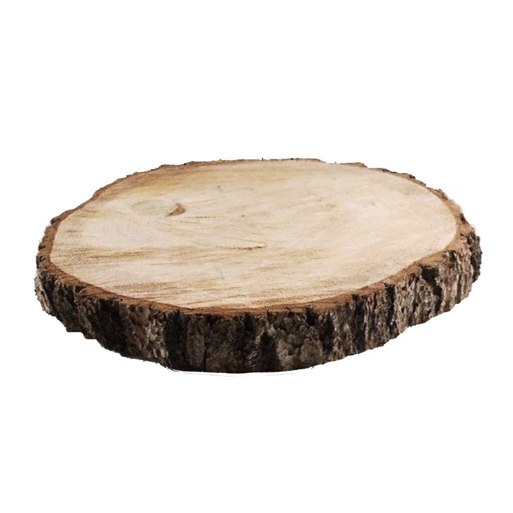Wood Slice