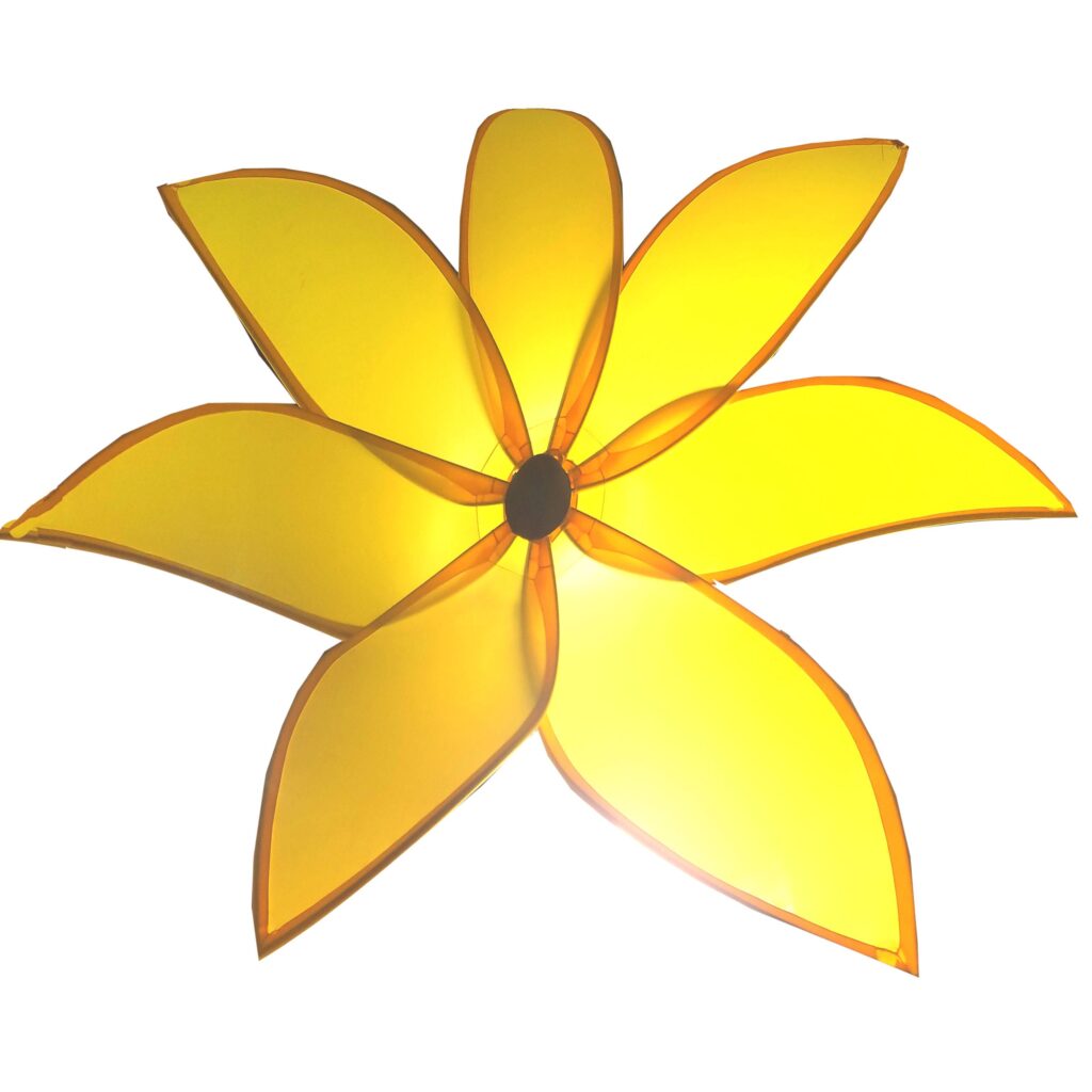 Dazzle Flower with Yellow Petals