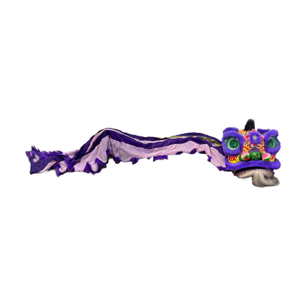 Dragon Head with Tail