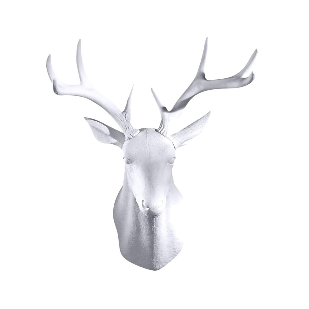 Deer Bust
