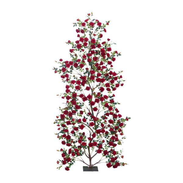 Red Rose Wall