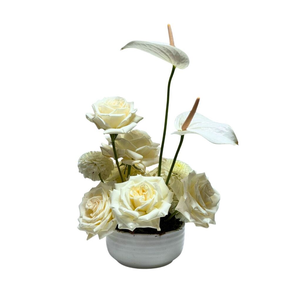 Modern Cocktail Centerpiece