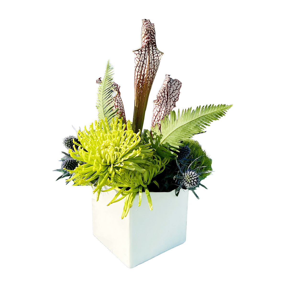 Jungle Cocktail Centerpiece